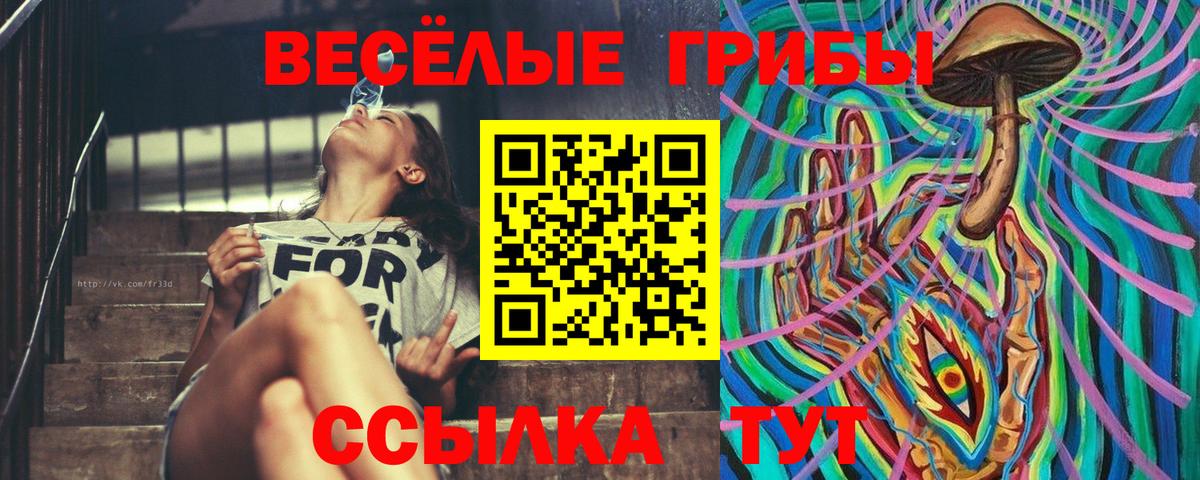 Советск  где найти наркотики  Вход с VPN  Галлюциногенные грибы Magic Shrooms  Галлюциногенные грибы Psilocybe 